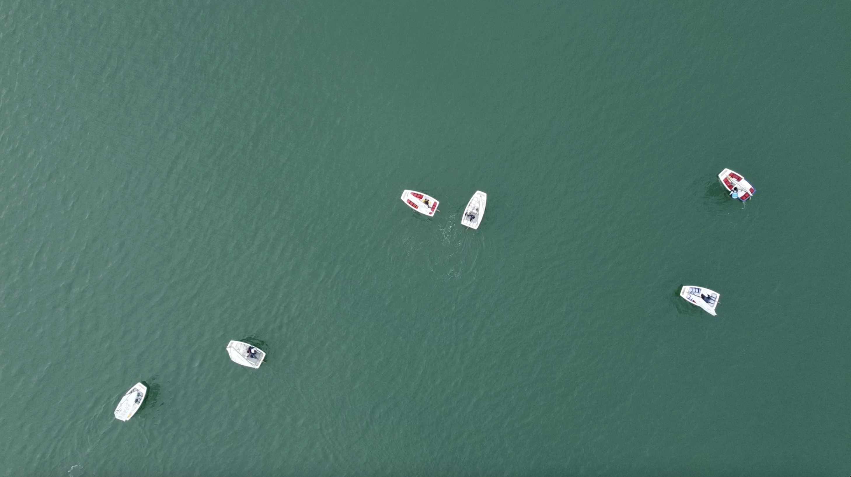 Best Coast Sailing